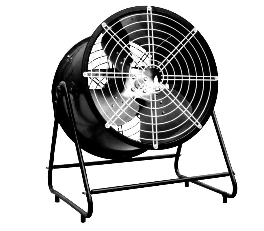 特级毛片片A片AAAAAA