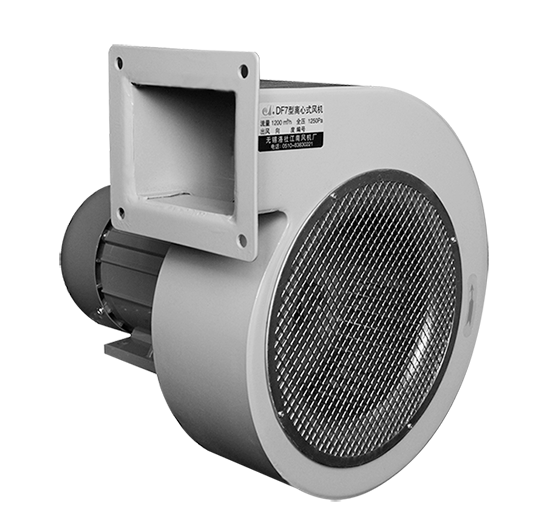 特级毛片片A片AAAAAA