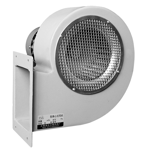 特级毛片片A片AAAAAA