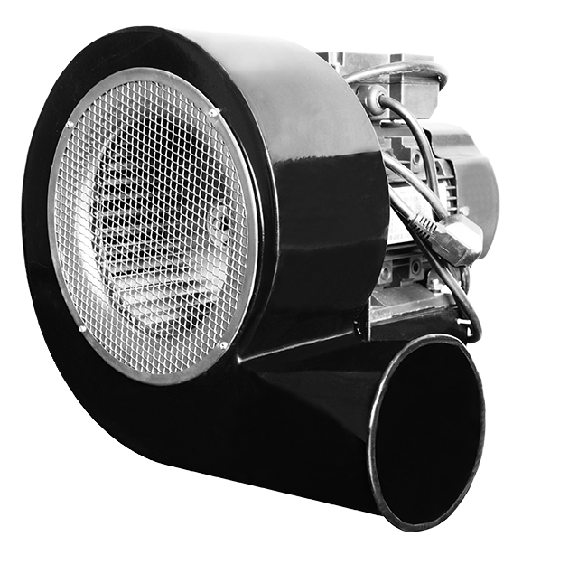 特级毛片片A片AAAAAA