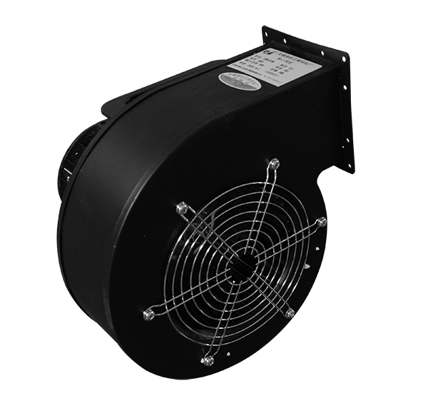 特级毛片片A片AAAAAA