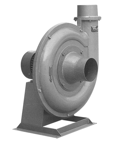 特级毛片片A片AAAAAA