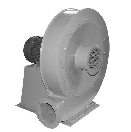 特级毛片片A片AAAAAA