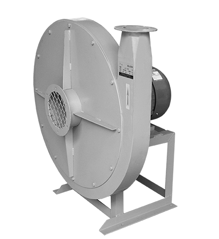 特级毛片片A片AAAAAA