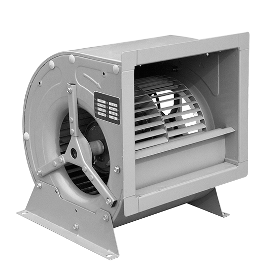 特级毛片片A片AAAAAA