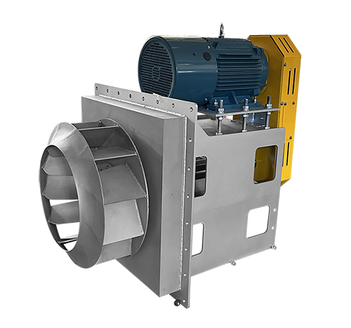 特级毛片片A片AAAAAA