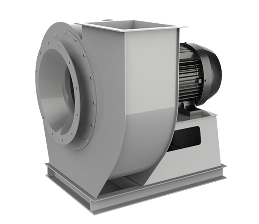 特级毛片片A片AAAAAA