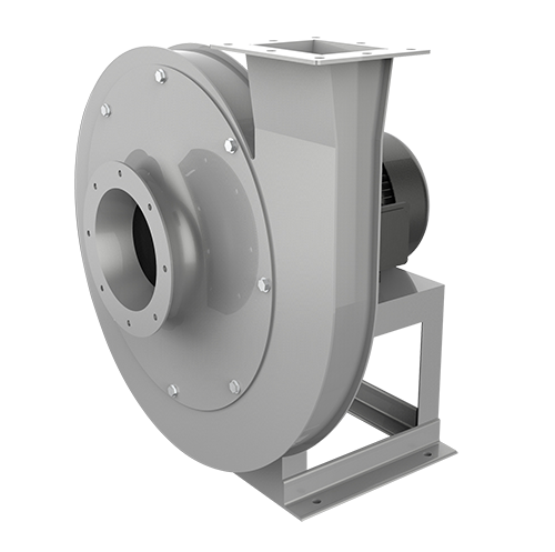 特级毛片片A片AAAAAA