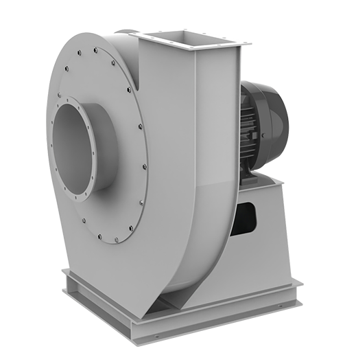 特级毛片片A片AAAAAA