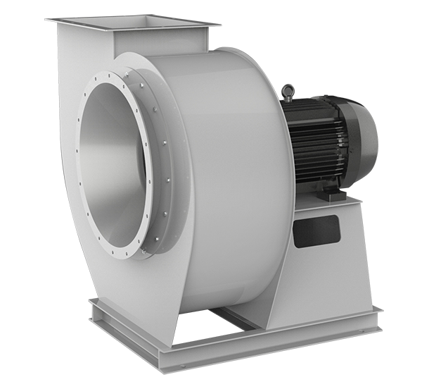 特级毛片片A片AAAAAA