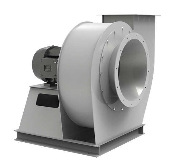 特级毛片片A片AAAAAA