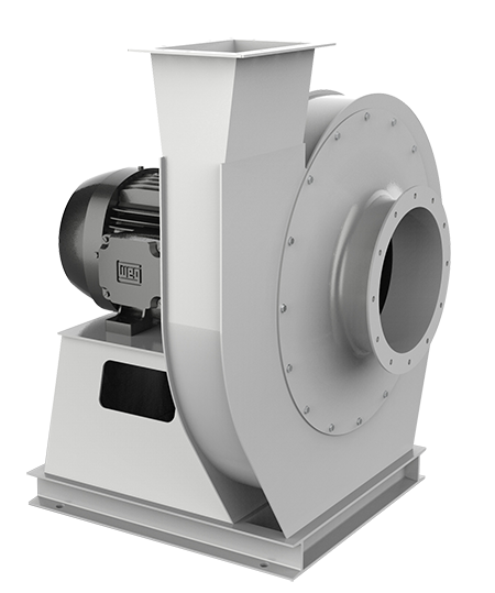 特级毛片片A片AAAAAA