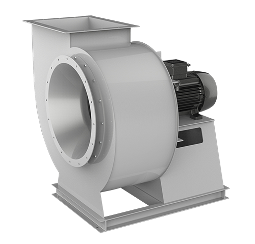 特级毛片片A片AAAAAA