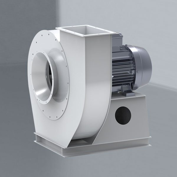 特级毛片片A片AAAAAA