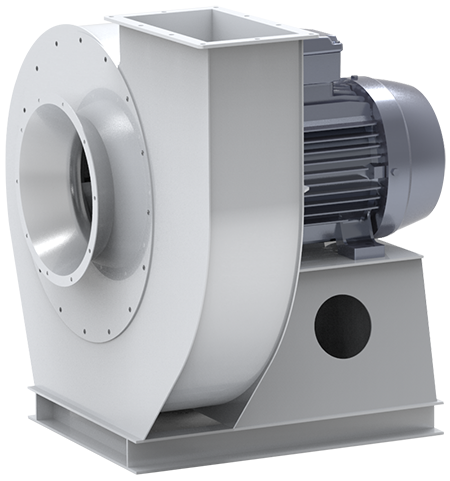 特级毛片片A片AAAAAA