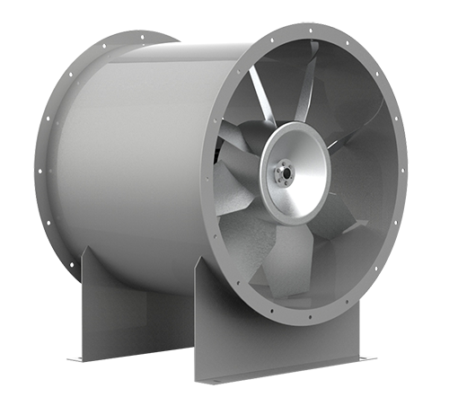 特级毛片片A片AAAAAA